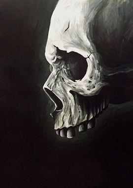 skull in the dark