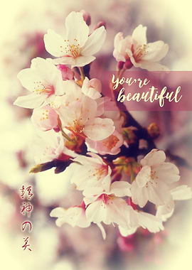 You’re Beautiful Vintage White Pink Cherry Blossoms - “ ...