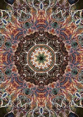 Mandala with ammonite pattern