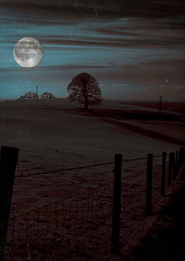 Moon Tor. An impression of a moonscape from an ancient ...