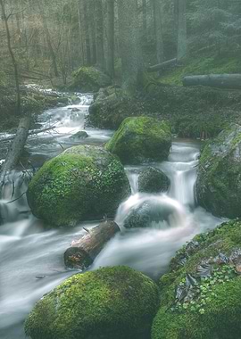 Trolls need love too