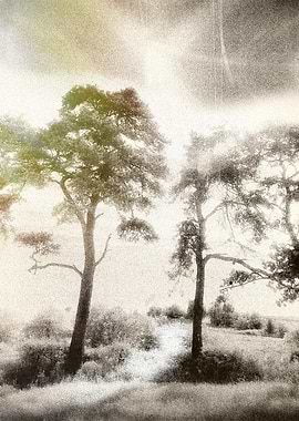 Peace before the Storm. A track leads to the tank ruts ...