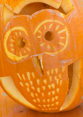 carved pumpkin for Halloween