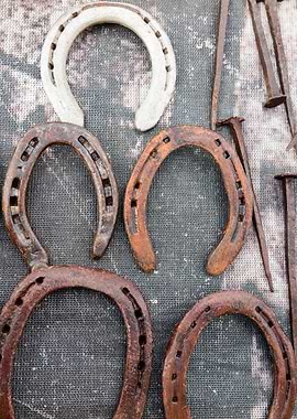 horseshoe