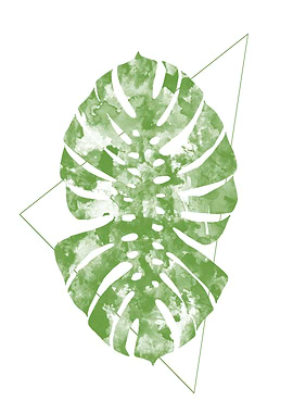 Monstera Deliciosa Giant Dynamics