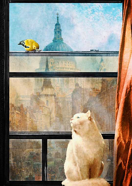 The Bird and the Cat