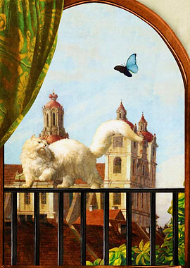 The Butterfly and the Cat