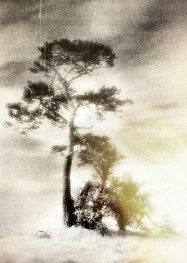 Deadly silence... Just before the shells explode.. The ...