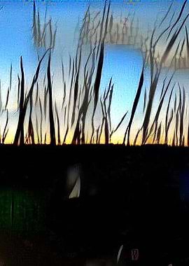 modified from a photograph