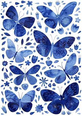 Blue Butterflies