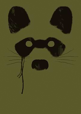 Raccoon - Please, for more visit my site http://goo.gl/ ...