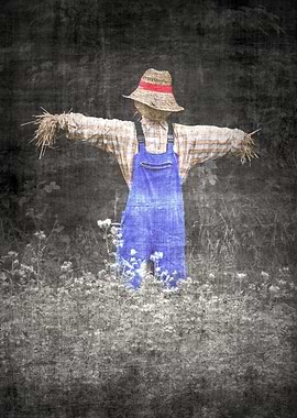 The Scarecrow