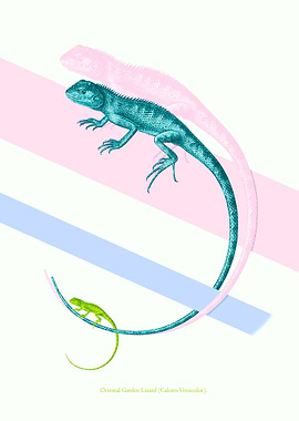 Appropriation of 100 year old book illustrations. no.1 ...