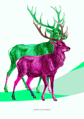 Contemporary art from appropriation of 100 year old boo ...