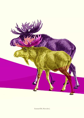 Contemporary art from appropriation of 100 year old boo ...