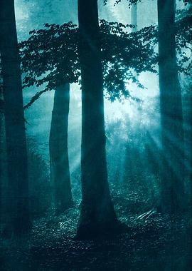 repetitions mystical forest scenery a sunrise