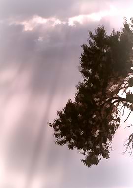 cloudy sky on the hilly