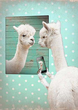 SELFIE by Monika Strigel