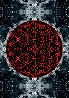 flower of life dr