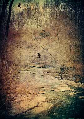 Forever Dreamin' The Dream