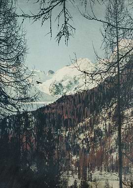 Be in my Dream View from a rest area on Julierstrasse ...