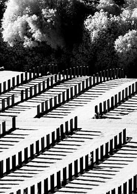 shadows cast by commenwealth war graves