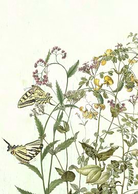 Cultivating my mind garden