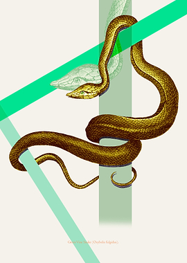 Contemporary art from appropriation of 100 year old boo ...