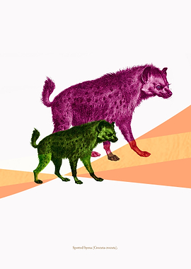 Contemporary art from appropriation of 100 year old boo ...