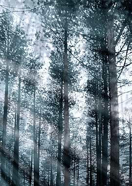 I Talk to the Trees... Or they talk to me.