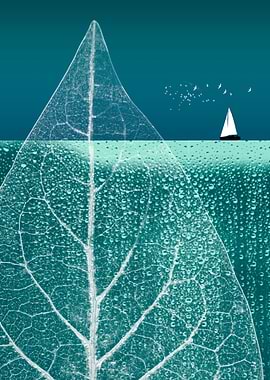 OCEAN WONDERLAND III