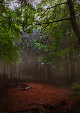 Feel free to share/like as much as you want! Thank you ...