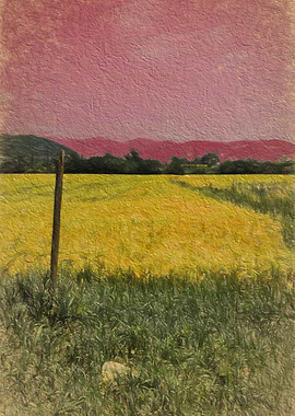cultivated field in summer