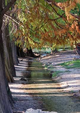 reflection on pond in autumn