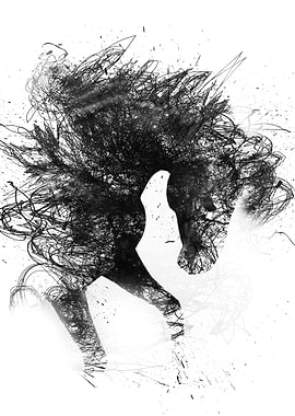 Diablo the wild horse