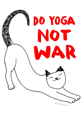 Do yoga not war cat