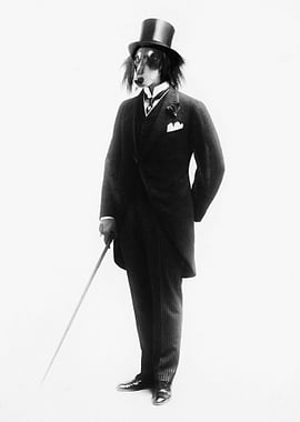 (Super) Distinguish Dog