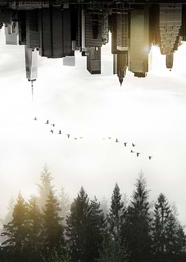 Duality. A double exposure image of foggy Swedish fore ...