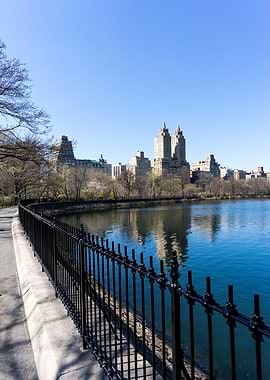 The Central Park