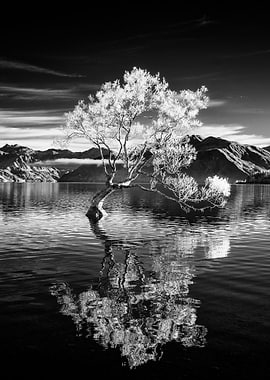 Once humble beginnings over 70 years ago as a wooden fe ...