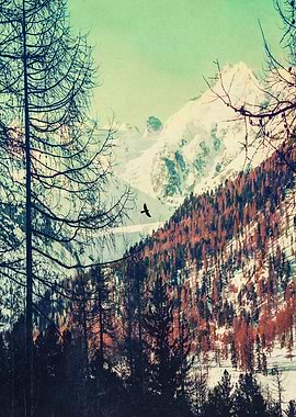 Sunrise in the Swiss alps on a late winter morning - te ...