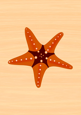 Sea Star 1