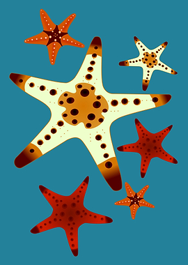 Star Fish