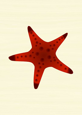 Sea Star 3
