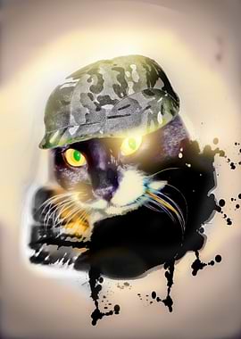 military cat