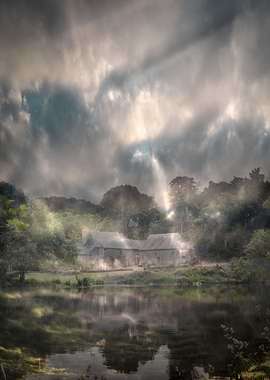 She Emerged From the Gloom. As the sun burned through i ...