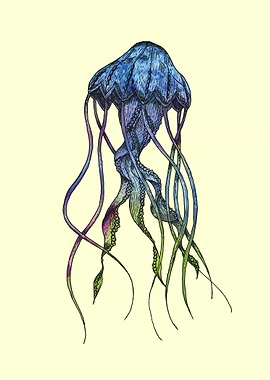 jellyfish