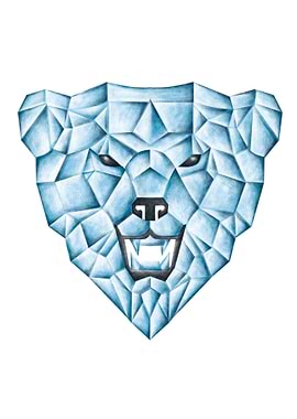 Ice Bear