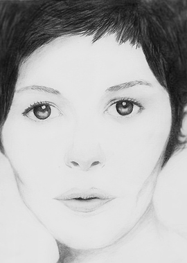 A pencil portrait of Audrey Tautou