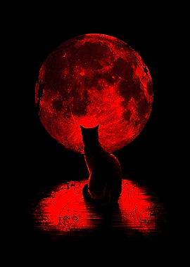 Staring at the Moon
